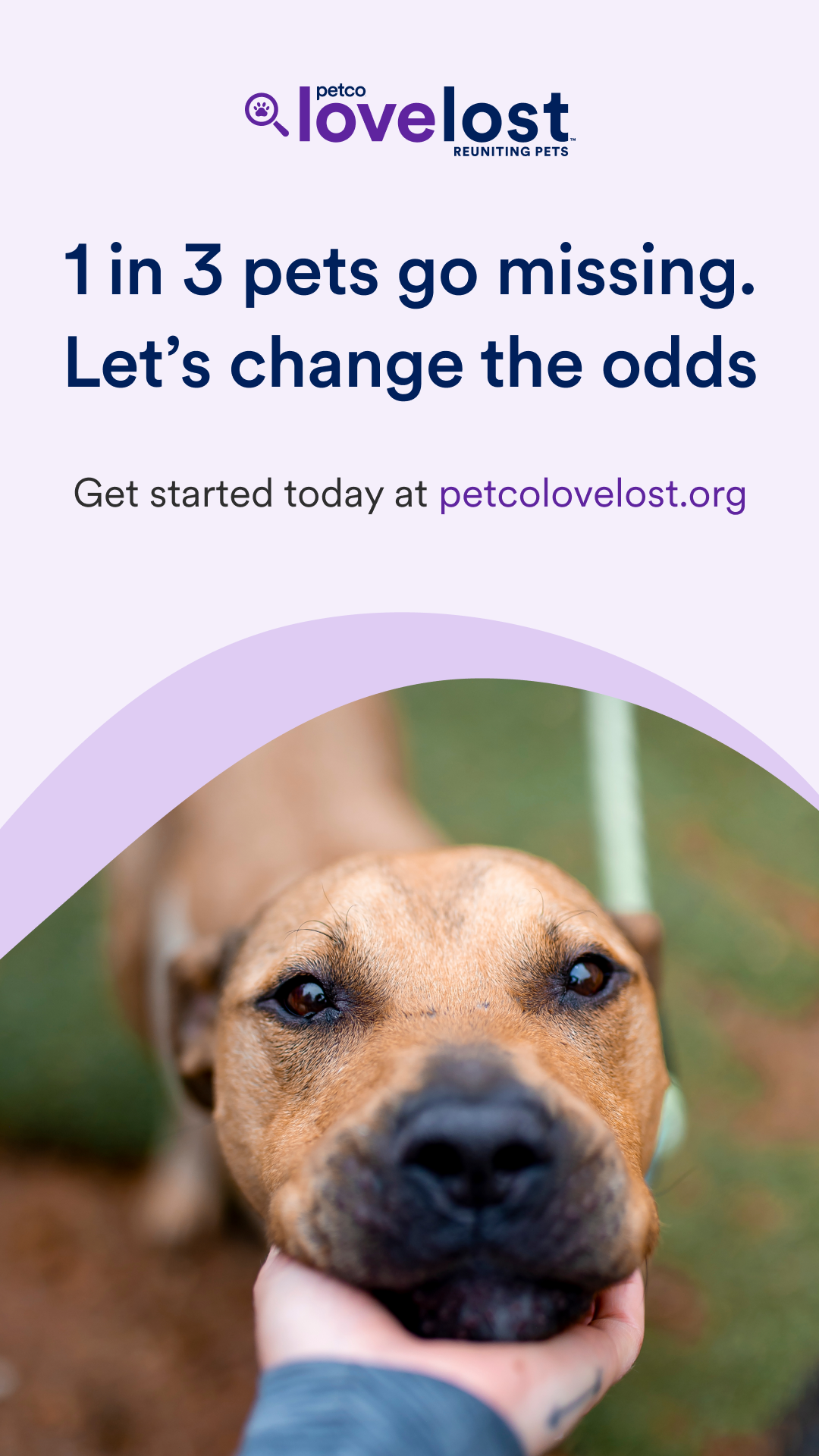 Lost Pet Prevention Month
