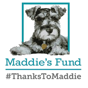 maddie-fund