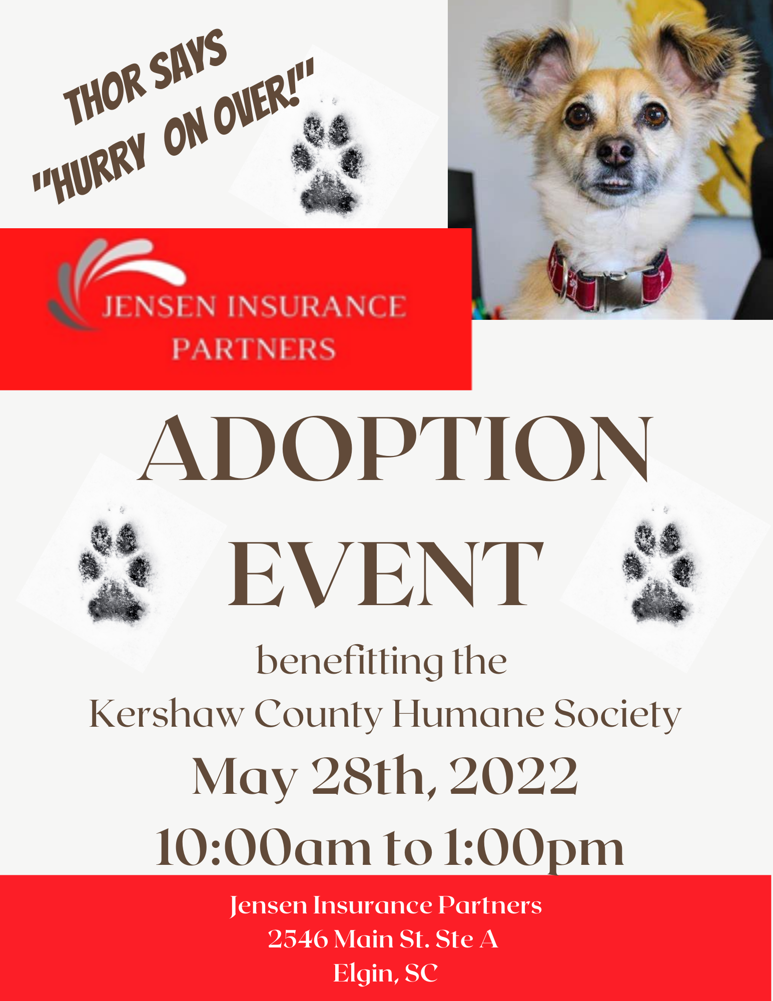 Adoption Event at Jensen Ins Partneers